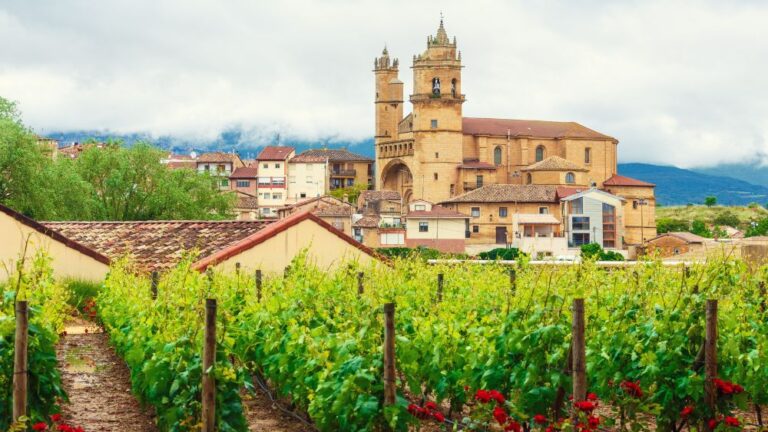 Hoteles en La Rioja